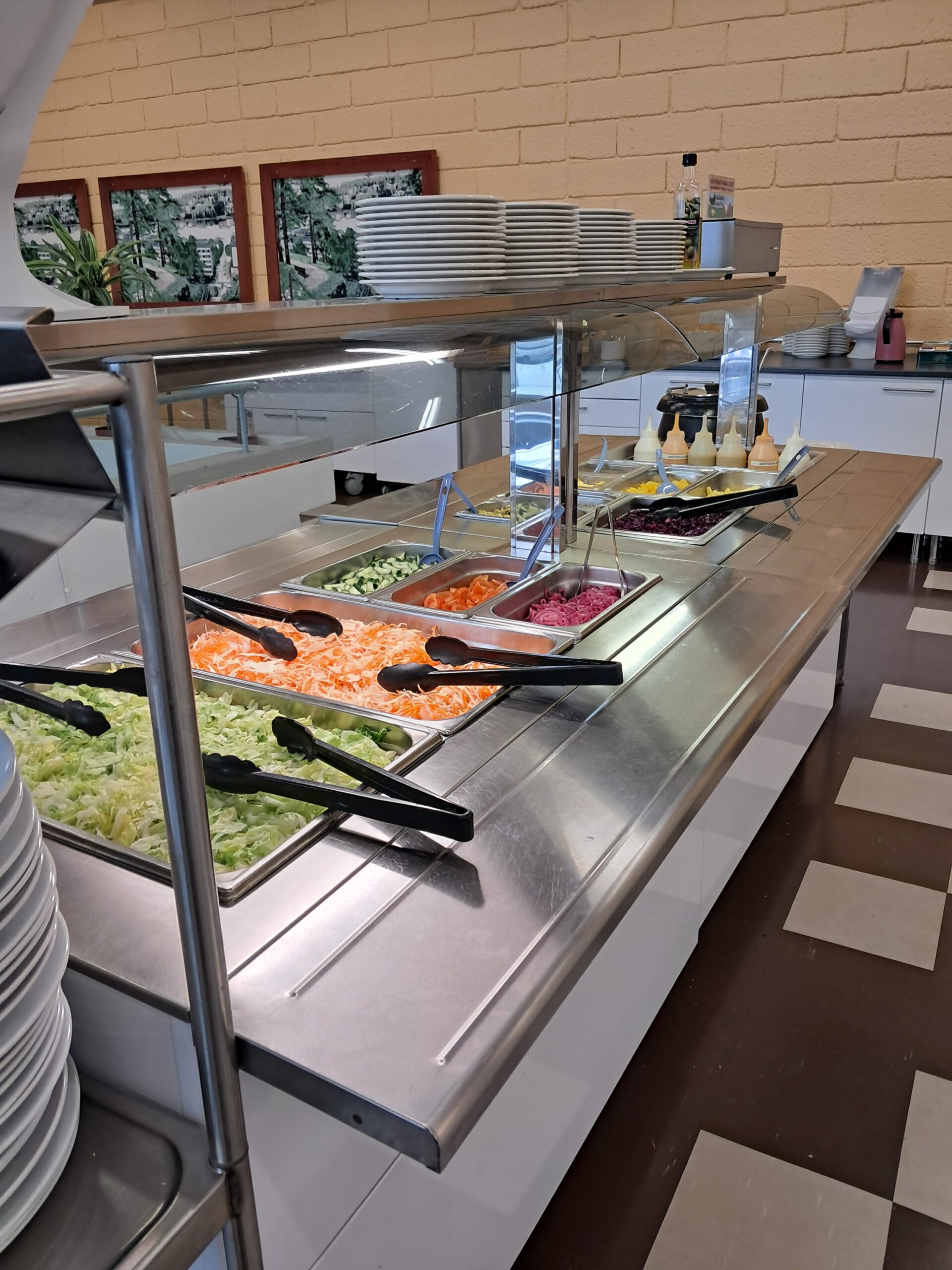Self-serve salad bar with stainless steel counter and glass sneeze guard, trays of chopped lettuce, shredded carrots, cucumbers, tomatoes and pickled onions, black tongs, dressing bottles and stacked white plates.
